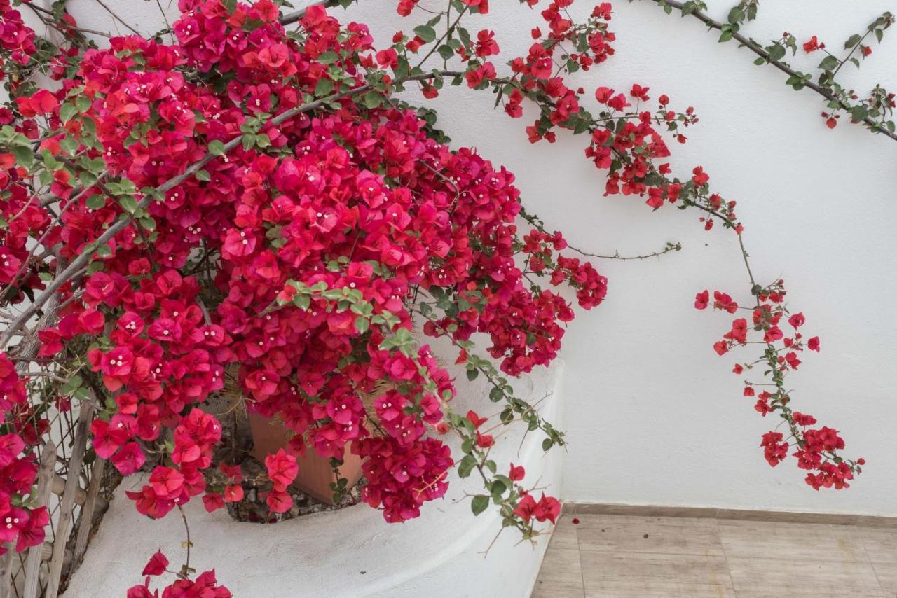 Depis Apartments & Suites Naxos City Eksteriør bilde